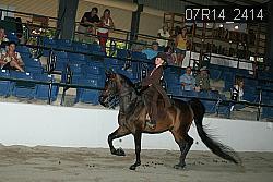07R14_2414 proof