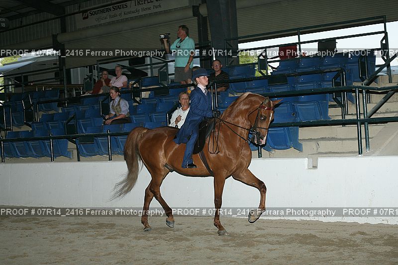 Proof 07R14_2416