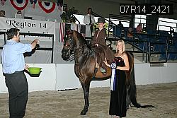 07R14_2421 proof