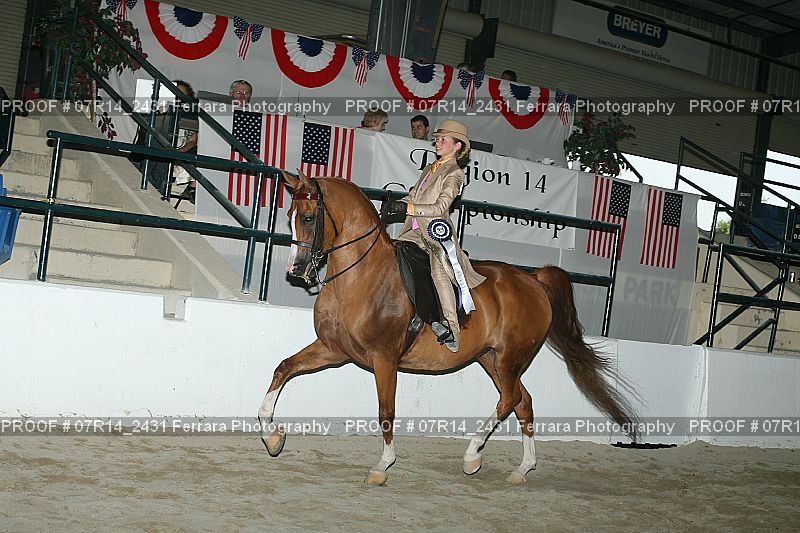 Proof 07R14_2431
