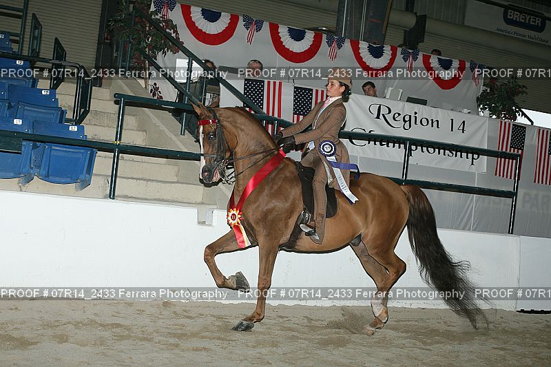 Proof 07R14_2433