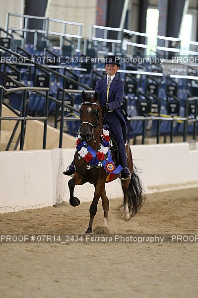 Proof 07R14_2434