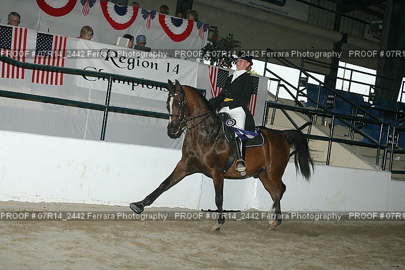 Proof 07R14_2442