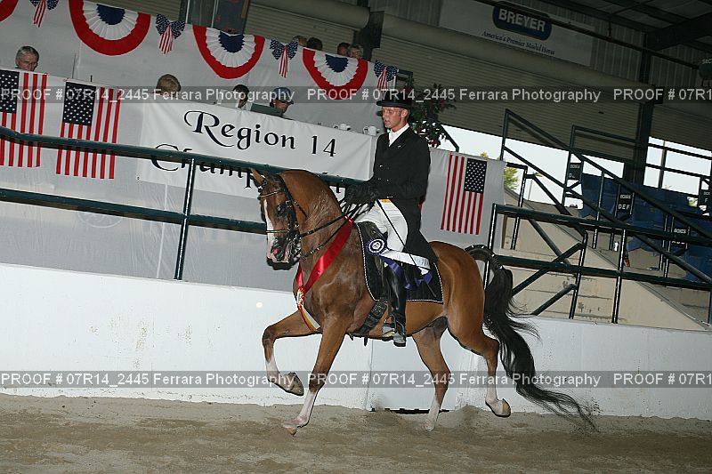 Proof 07R14_2445