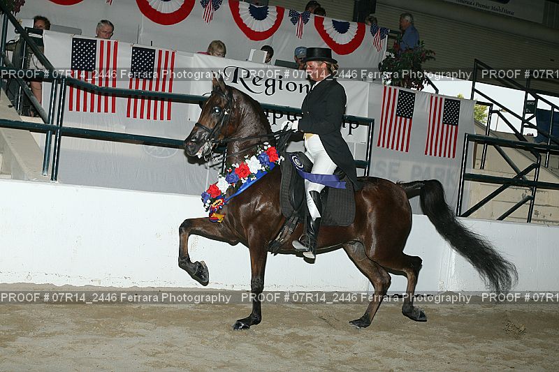 Proof 07R14_2446