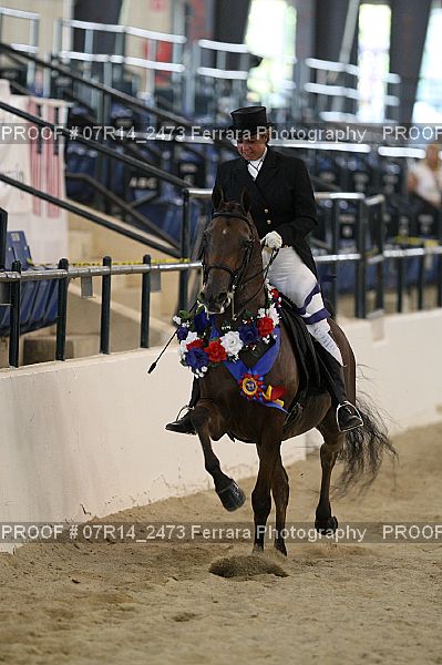 Proof 07R14_2473