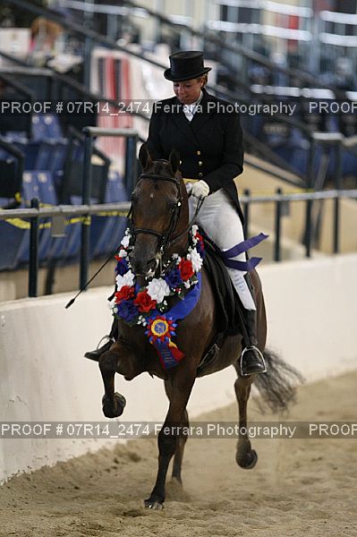 Proof 07R14_2474