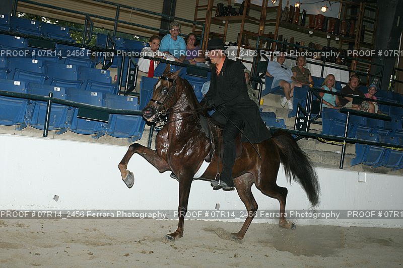 Proof 07R14_2456