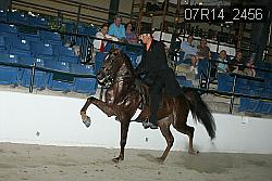07R14_2456 proof