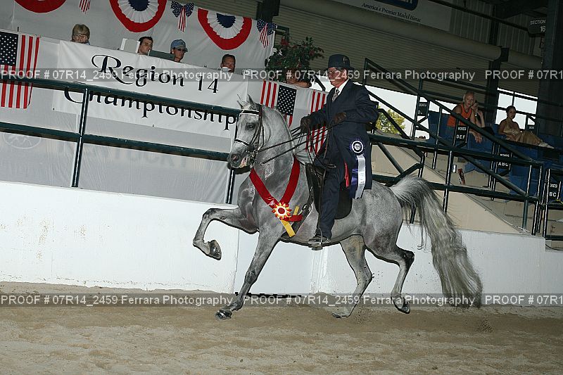 Proof 07R14_2459