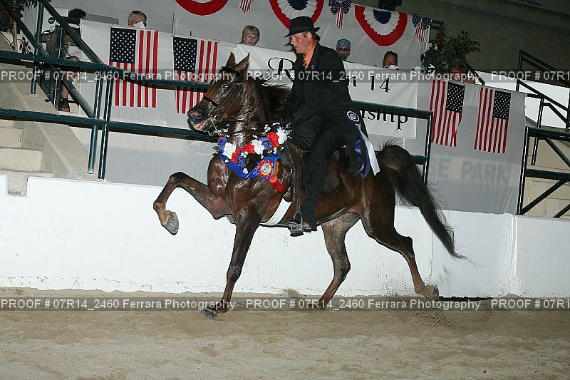 Proof 07R14_2460