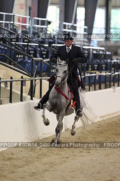 Proof 07R14_2480