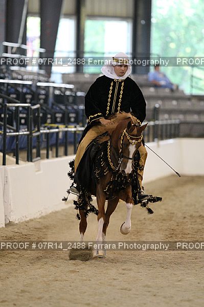Proof 07R14_2488