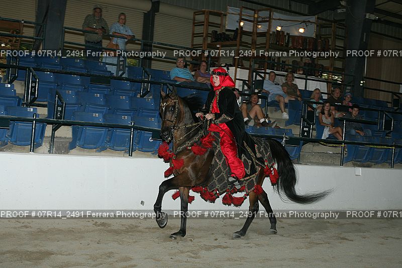 Proof 07R14_2491