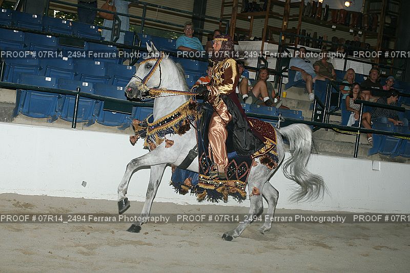 Proof 07R14_2494