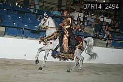 07R14_2494 proof