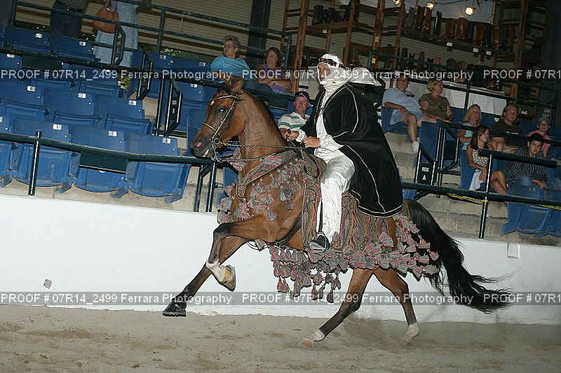 Proof 07R14_2499