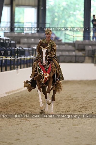 Proof 07R14_2508