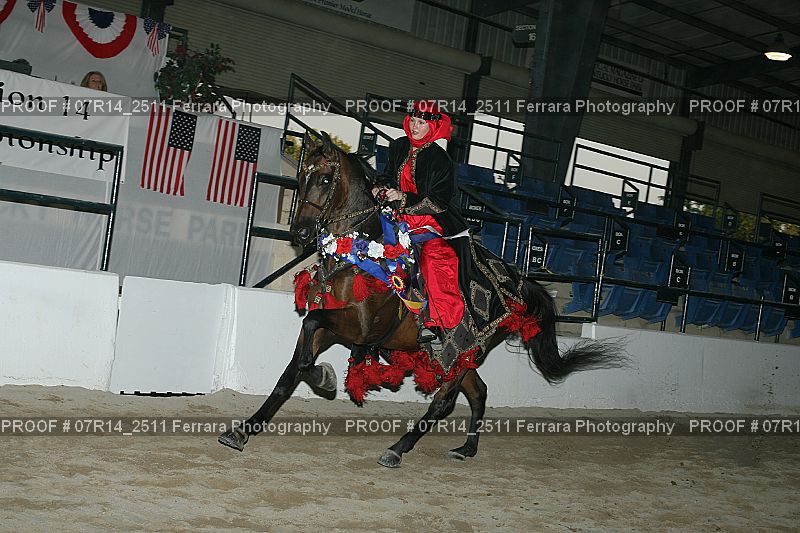 Proof 07R14_2511