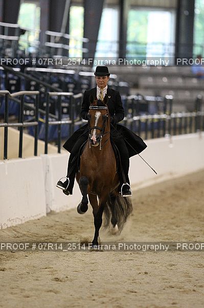 Proof 07R14_2514