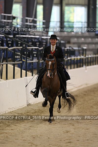 Proof 07R14_2515