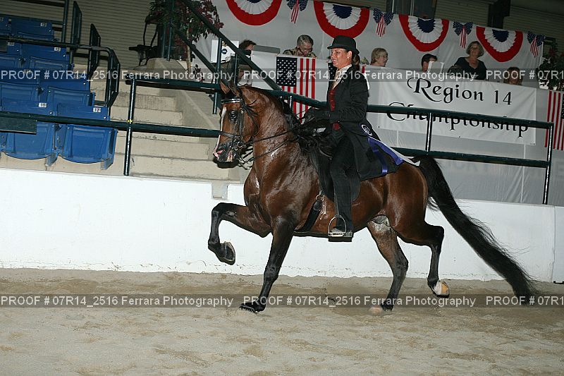 Proof 07R14_2516