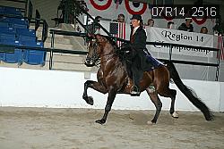 07R14_2516 proof