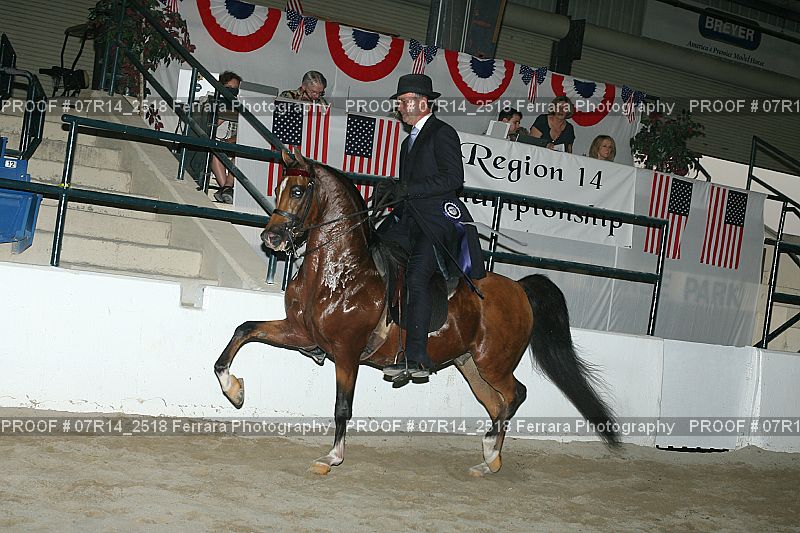 Proof 07R14_2518