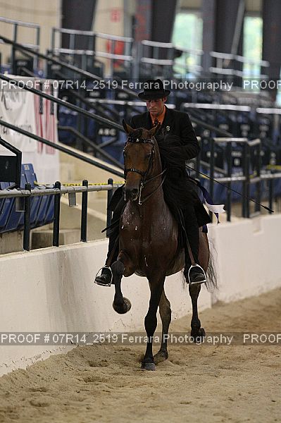 Proof 07R14_2519