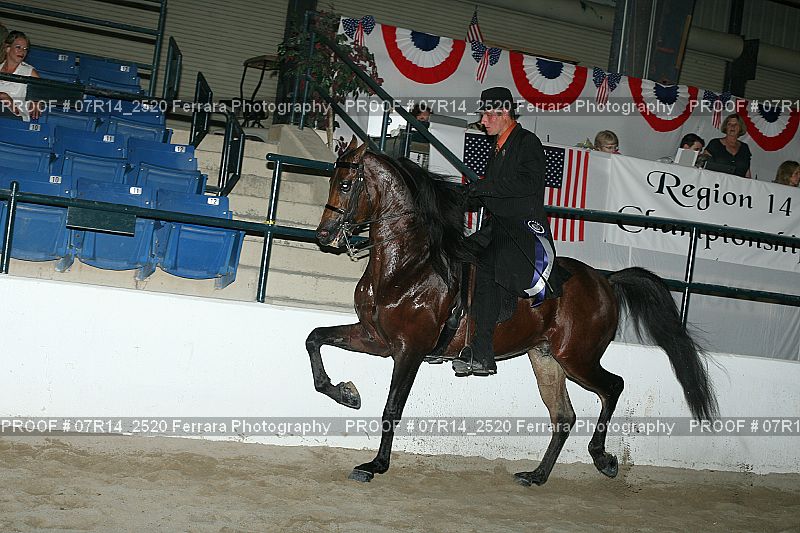 Proof 07R14_2520