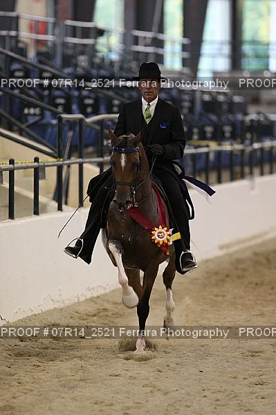 Proof 07R14_2521