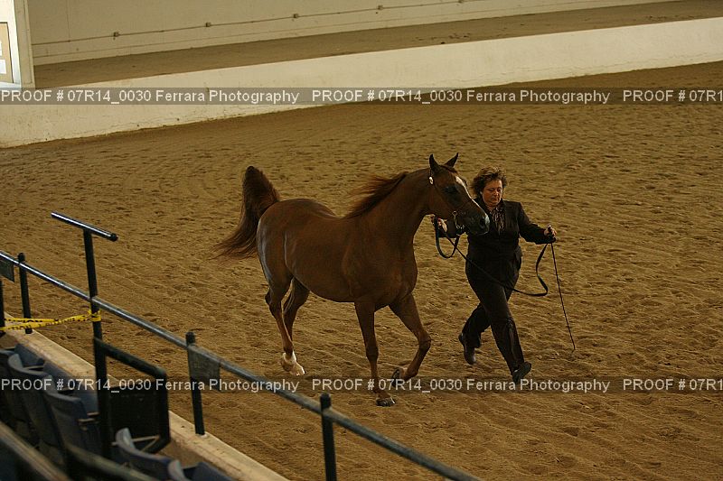 Proof 07R14_0030