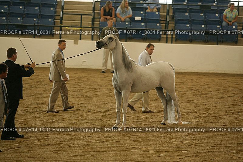 Proof 07R14_0031