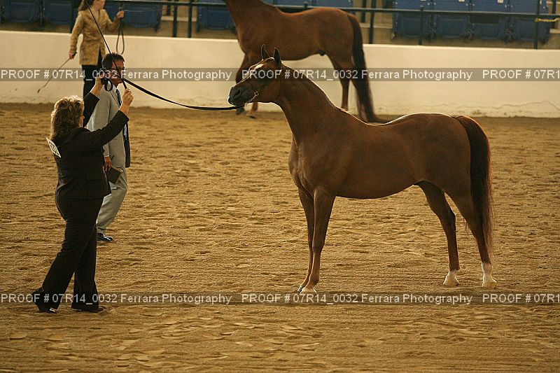 Proof 07R14_0032