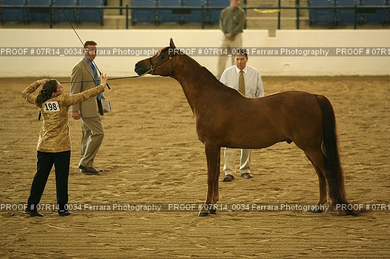Proof 07R14_0034