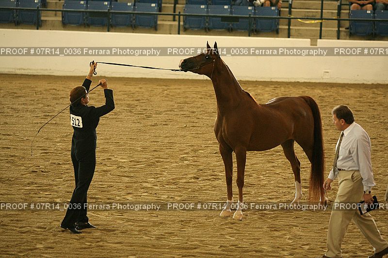 Proof 07R14_0036