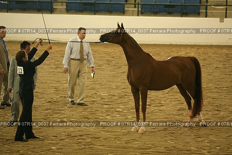 Proof 07R14_0037