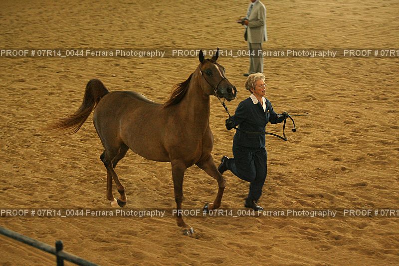 Proof 07R14_0044