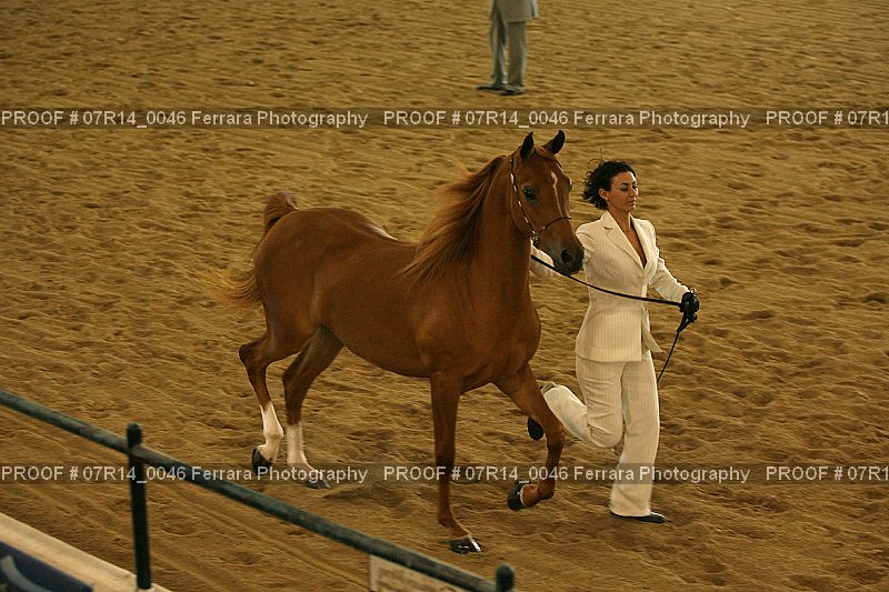 Proof 07R14_0046