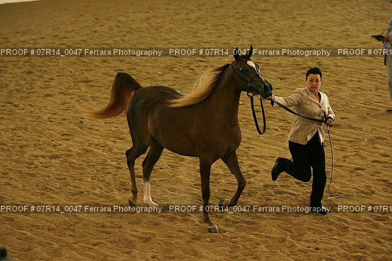 Proof 07R14_0047