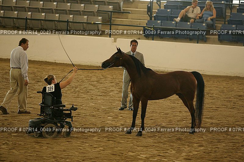 Proof 07R14_0049
