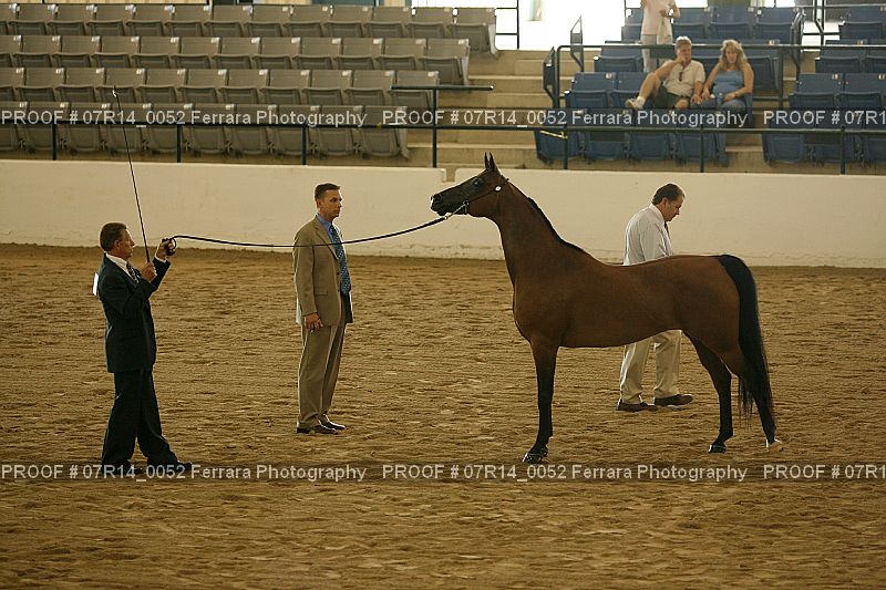 Proof 07R14_0052