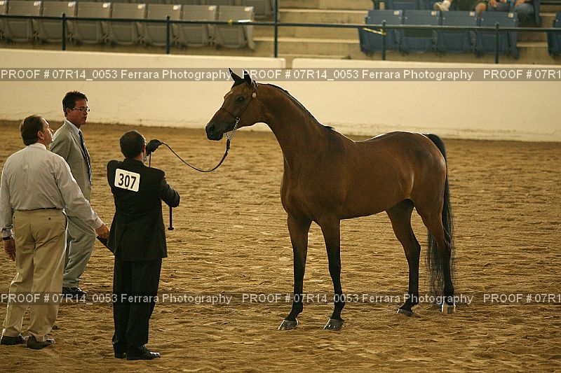 Proof 07R14_0053
