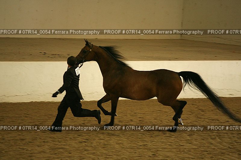 Proof 07R14_0054