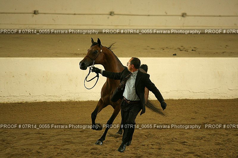 Proof 07R14_0055