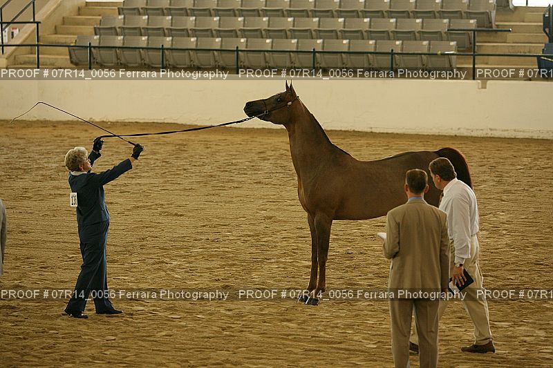 Proof 07R14_0056