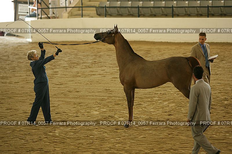 Proof 07R14_0057