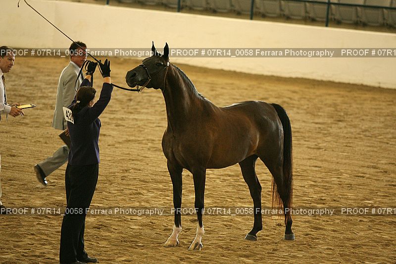 Proof 07R14_0058