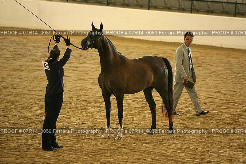 Proof 07R14_0059
