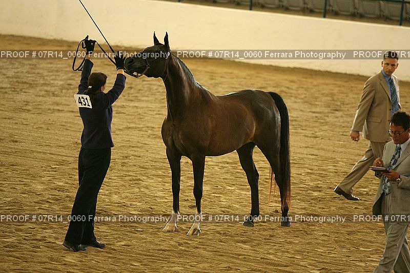 Proof 07R14_0060